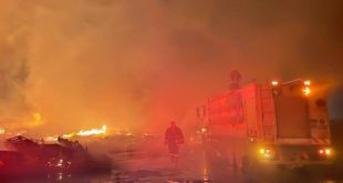 Mersin'de palet fabrikasında yangın çıktı