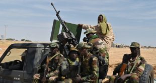 Boko Haram tarafından kaçırılan 41 kişi kurtarıldı