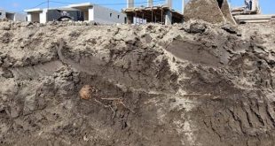 İnşaat alanında şüpheli cesetler bulundu