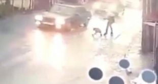 İstanbul'da 10 yaşındaki çocuk pitbull dehşeti yaşadı!