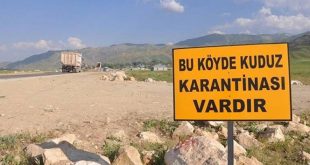 Kedide kuduz çıktı, 2 mahalle karantinaya alındı!