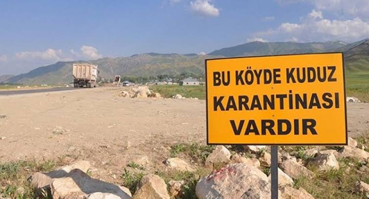 Kedide kuduz çıktı, 2 mahalle karantinaya alındı!