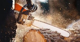 Motorlu testerenin üzerine düşen güvenlik görevlisi feci şekilde can verdi