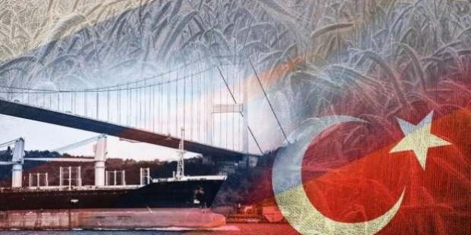 Zelenskiy: Türkiye ve BM'nin desteğiyle sevkiyat sürüyor