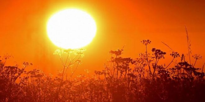 Sıcak hava dalgaları 15 bin can kaybına sebep oldu