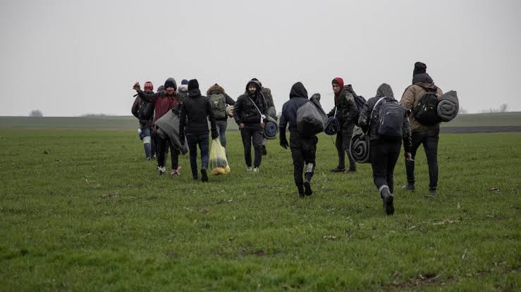 Sırbistan, Macaristan sınırında 600 göçmeni gözaltına aldı