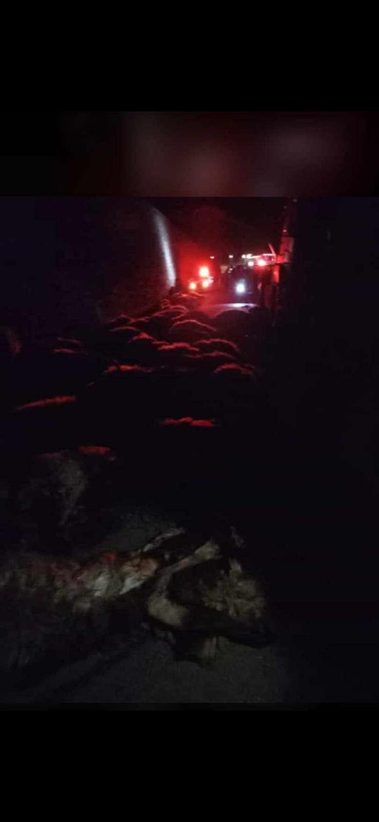 Akaryakıt tankeri sürüye dalarak 70 koyunu telef etti