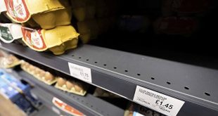 Yumurta krizi İngiltere'yi vurdu!