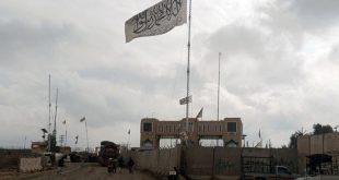 Pakistanlı alimler sınır çatışmalarını durdurmak için Afganistan'a gidiyor