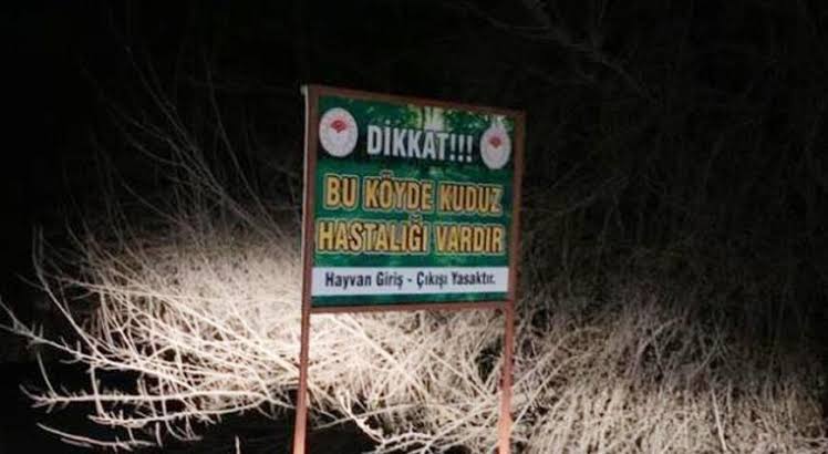 Adıyaman’da 3 köy kuduz nedeniyle karantinaya alındı