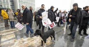 Ankara’da başıboş sokak köpeği protestosu