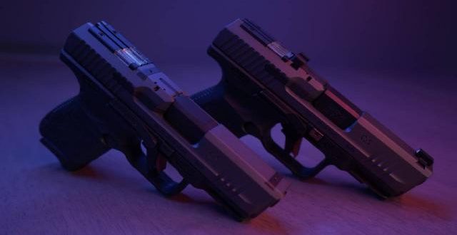 Avusturya'da bir evde çok sayıda silah ve Nazi sembolleri bulundu