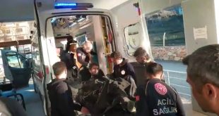 Domuz yerine kardeşini vurdu!