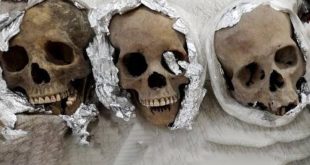 Havalimanında folyoya sarılmış 4 insan kafatası ele geçirildi!