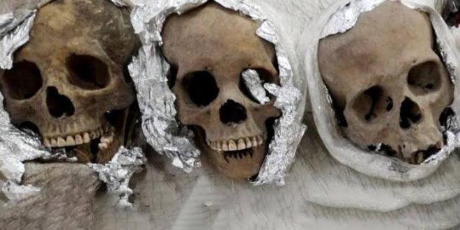 Havalimanında folyoya sarılmış 4 insan kafatası ele geçirildi!