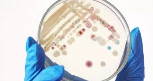 İngiltere’de ‘Strep A’ kabusu! 21'i çocuk 94 kişi hayatını kaybetti