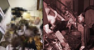 Marmaris'te bir evde onlarca hayvan cesedi bulundu!