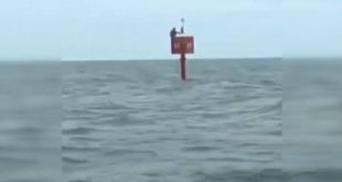 Okyanusta kaybolan balıkçı 2 gün sonra böyle bulundu!