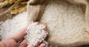 Pirinçte gümrük vergisi sıfırlandı