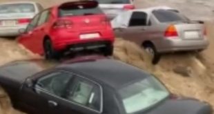 Suudi Arabistan sele teslim