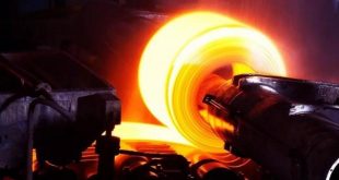 DTÖ, Trump'a karşı Türkiye'yi haklı buldu