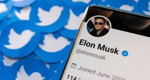 Twitter, Türk kullanıcılara rastgele mavi tik vermeye başladı