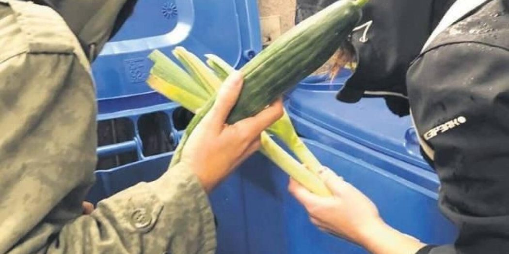 Almanya’da çöpten yiyecek toplama yasağı kalkıyor