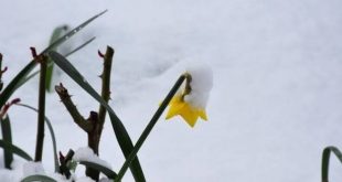 İzlanda soğukları Türkiye'yi vuracak!