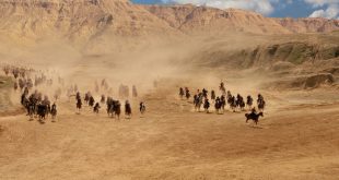 Rasulullah s.a.v’in Gazve ve Seriyyeleri