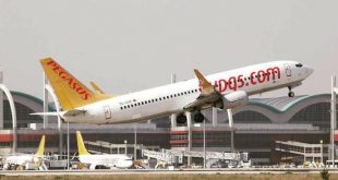 Yolcu uçağı piste giren tavşana çarptı: İki uçak pisti pas geçti