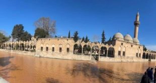 Deprem sonrası Balıklıgöl’ün suyu çamur rengine döndü!