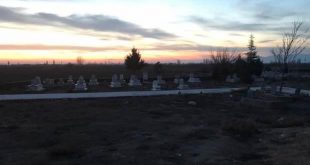 Konya'da yarısı toprağa gömülmüş kadın cesedi bulundu!