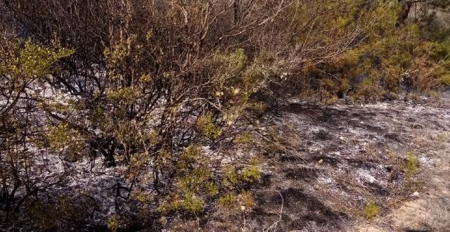 Karabük'te örtü yangını