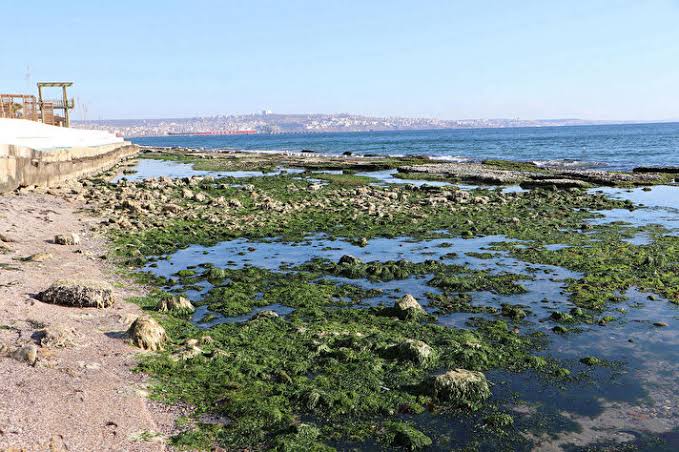 Marmara Denizi 25 metre çekildi!