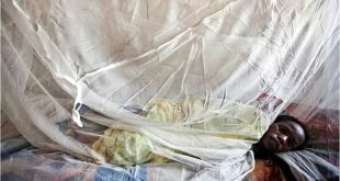 Nijerya'da Lassa ateşi salgını! Yılbaşından bu yana 53 can aldı!