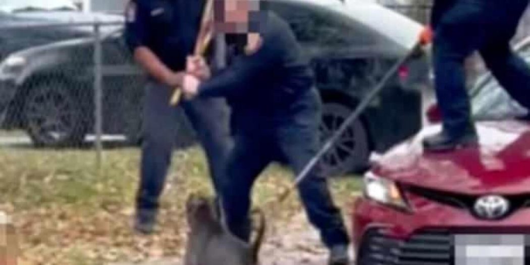 ABD’de yaşlı adamı öldüren köpeğin sahibi tutuklandı