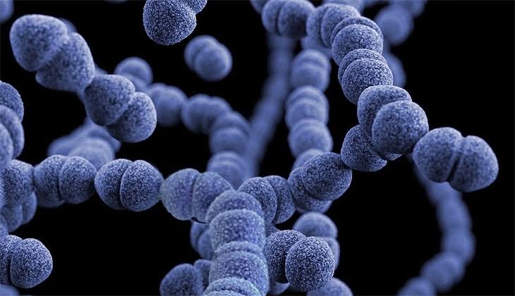Yunanistan’da Strep A bakterisine bağlı ilk ölüm gerçekleşti!
