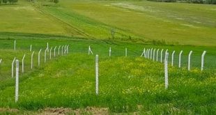 İlk Evim Arsa projesi İstanbul kuraları bugün çekiliyor!