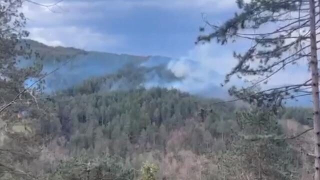 Kastamonu’da ormanlık alanda yangın çıktı