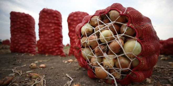 Rekora koşan kuru soğan fiyatlarının nisanda düşmesi bekleniyor!