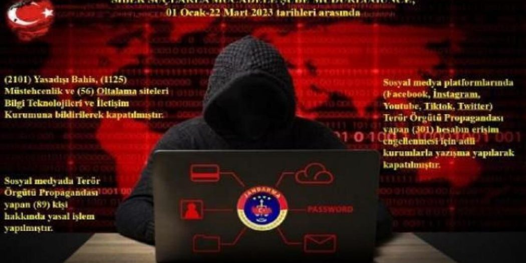 Siirt’te PKK propagandacılarına operasyon
