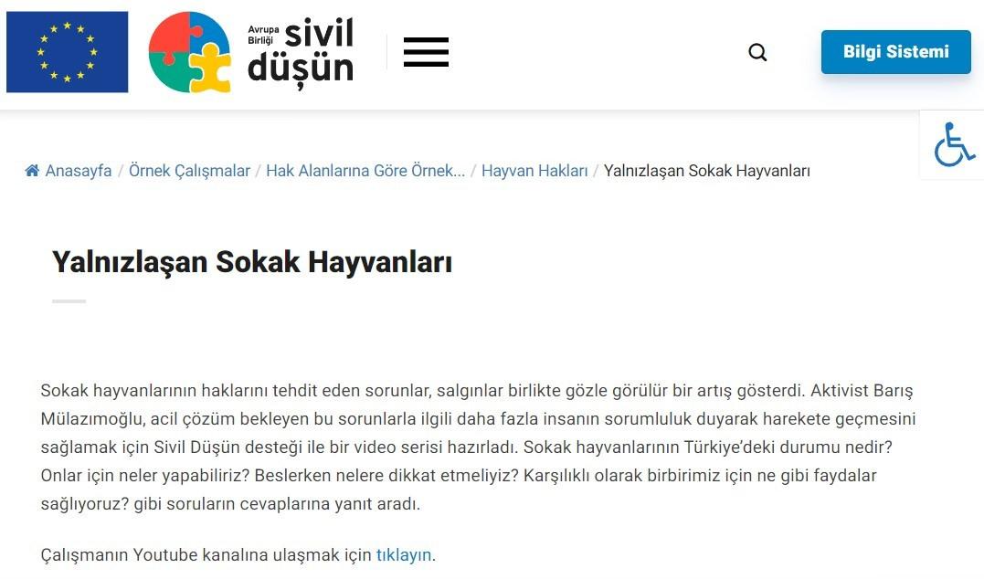 Türkiye'de dernekleri fonlayan Avrupa, sokak hayvanlarını itlaf ediyor!