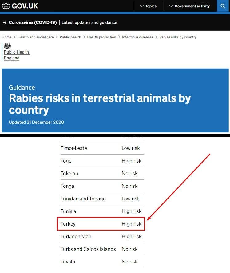 Türkiye'de dernekleri fonlayan Avrupa, sokak hayvanlarını itlaf ediyor!