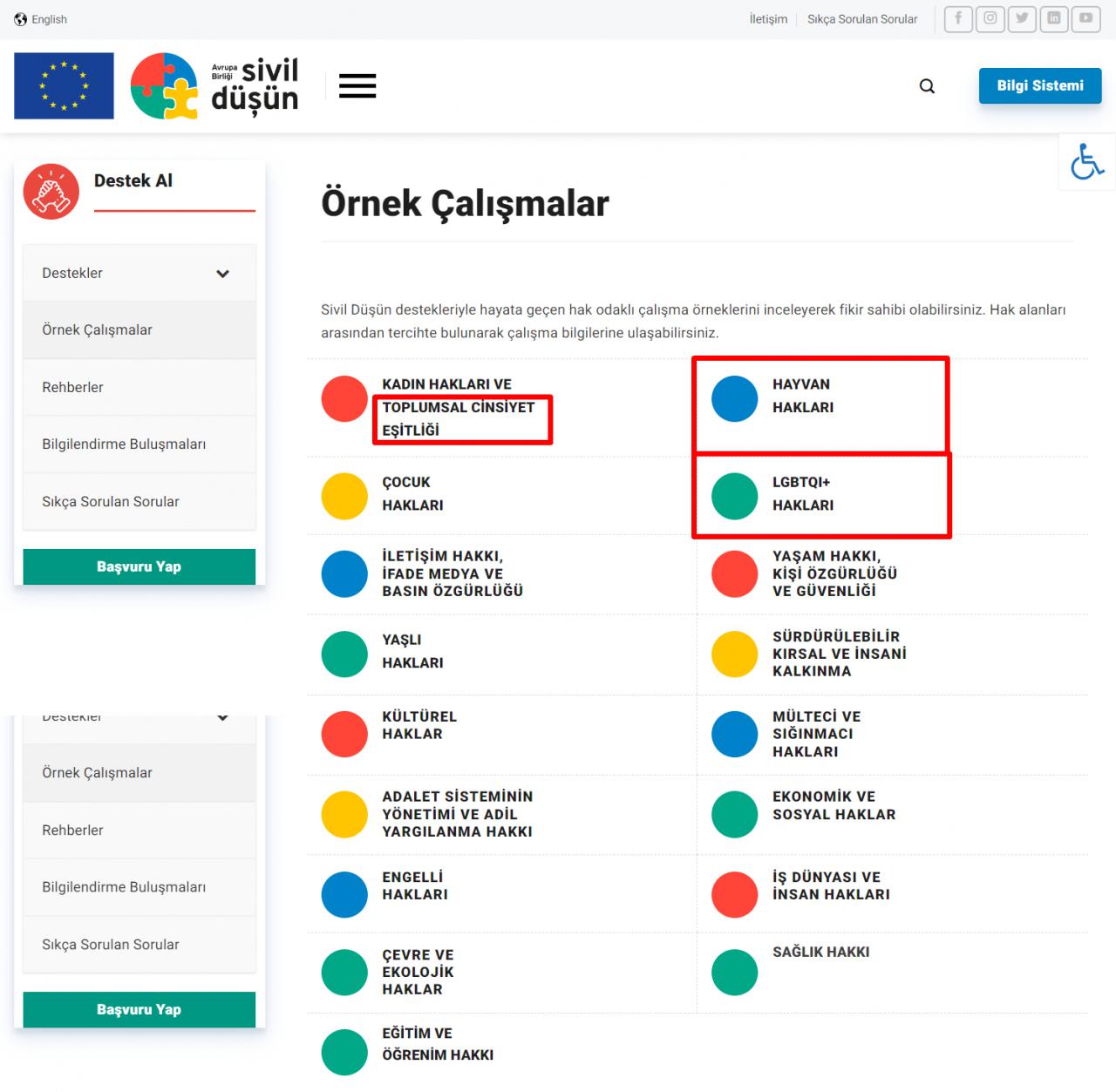 Türkiye'de dernekleri fonlayan Avrupa, sokak hayvanlarını itlaf ediyor!