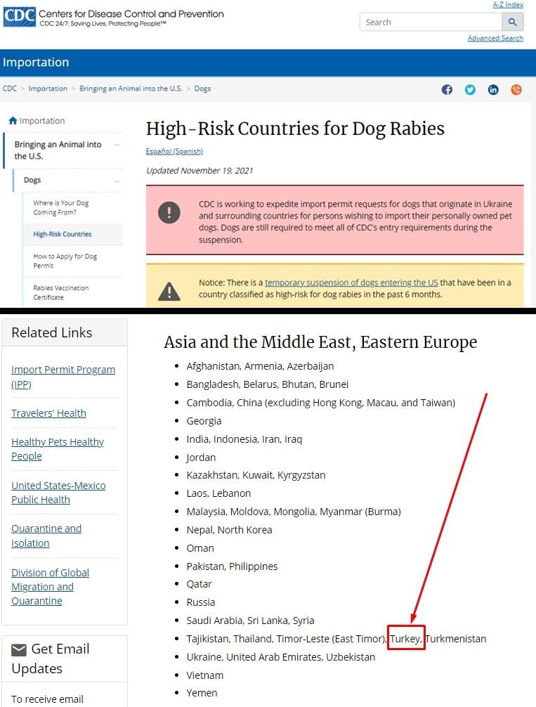 Türkiye'de dernekleri fonlayan Avrupa, sokak hayvanlarını itlaf ediyor!