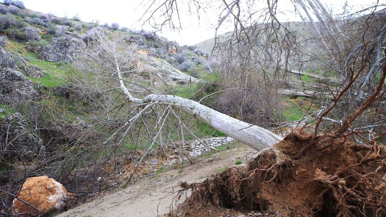 Depremlerde oluşan yarıklar arazilere zarar verdi