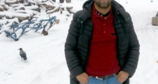 Boğanın saldırısına uğrayan çiftçi hayatını kaybetti!