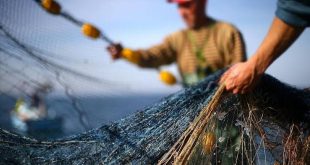 Denizlerde av yasağı başladı