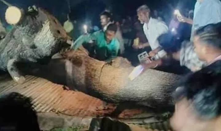 Müslüman düşmanı Hinduların tapınağına ağaç devrildi: Çok sayıda ölü ve yaralı var!