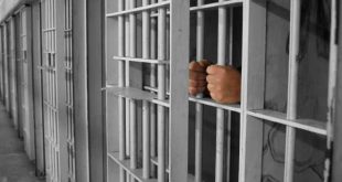 Adana'da IŞİD şüphelisine 6 yıl hapis cezası